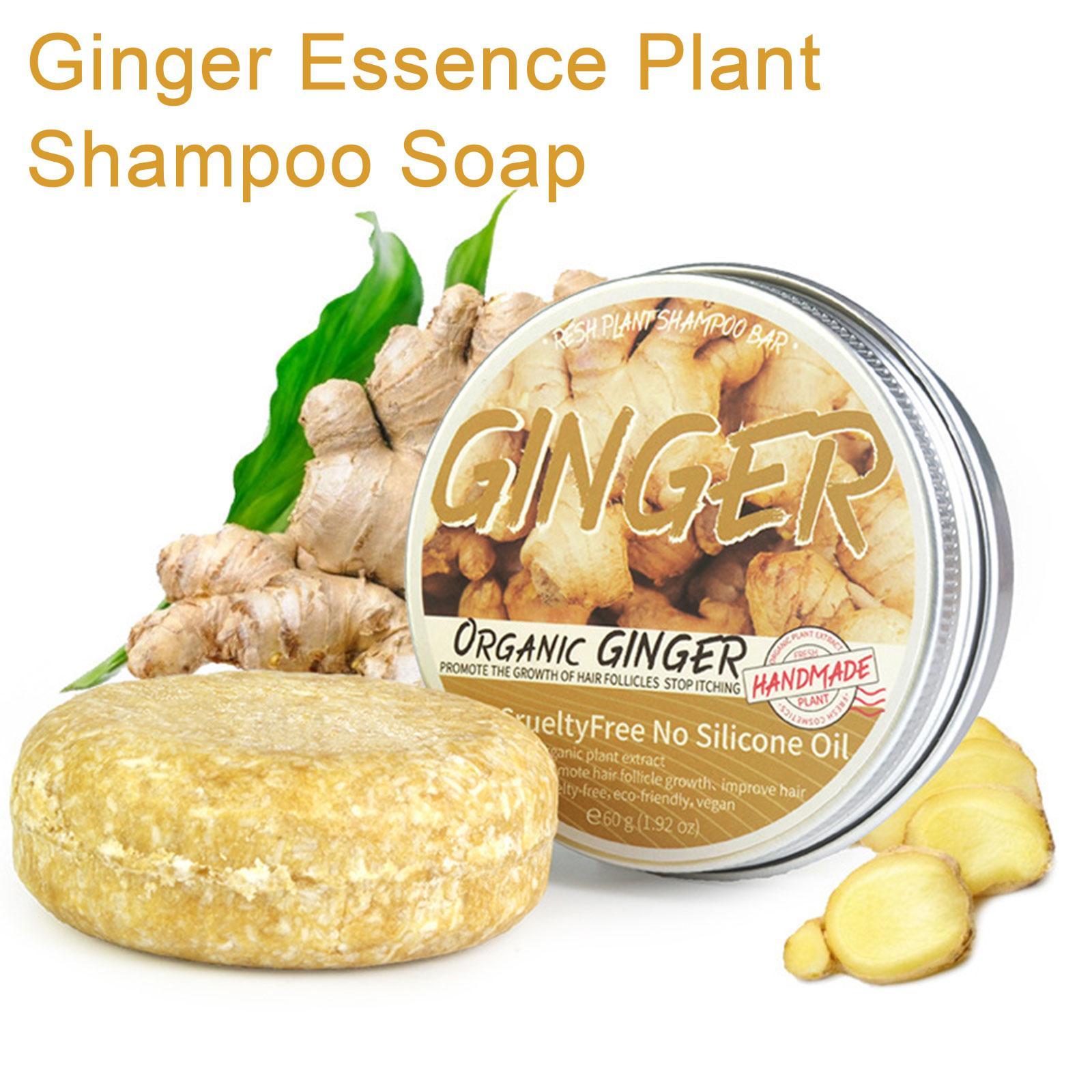 Ingwer Polygonum Seife Shampoo – Hair Care Organic Bewertung und Preis